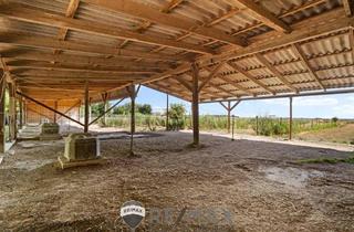 Gewerbeimmobilie kaufen in 2301 Andlersdorf, "Großzügiges Grundstück mit Pferdehof und sanierungsbedürftigem Haus – nur Minuten von Wien entfernt"