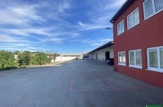 Gewerbeimmobilie kaufen in 2221 Groß-Schweinbarth, Lagerhalle & Bürogebäude
