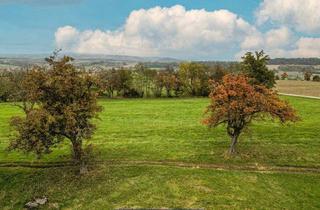 Grundstück zu kaufen in 4076 Sankt Marienkirchen an der Polsenz, Traumplatzerl - 2449m² großes, einzigartiges Grundstück in nahezu Alleinlage