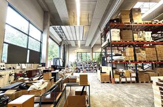 Büro zu mieten in 2483 Weigelsdorf, Top Firmenstandort in Weigelsdorf/ Ebreichsdorf - Moderne Gewerbehalle mit Büros und Pauschalmiete.