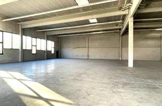 Büro zu mieten in 2483 Weigelsdorf, Hochwertige Gewerbe/ Lager/ Produktionshalle mit 810m² Nutzfläche + 40m² Bürotrakt.