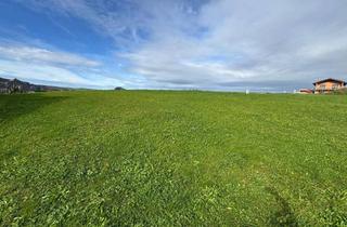 Grundstück zu kaufen in 5300 Hallwang, Grundstück mit Weitblick und Süd-Ausrichtung in Hallwang