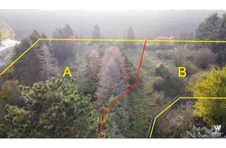 Grundstück zu kaufen in 2230 Gänserndorf, 2 Grundstücke à ca. 1706 m2 | Bebaubar jeweils ca. 218 m2 | Bauklasse I,II