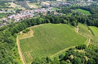 Grundstück zu kaufen in 8462 Eckberg, IHRE EIGENEN CHALETS! TRAUMHAFTES GRUNDSTÜCK AN DER SÜDSTEIRISCHEN WEINSTRASSE! Ein Ausblick der Ihnen die Sprache verschlagen wird - im schönsten Teil der grünen Steiermark.