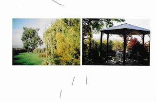  in 3580 Horn, Gartengrundstück