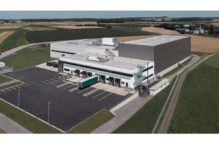 Gewerbeimmobilie kaufen in Holzpark, 3902 Vitis, Hochmoderne Lager-/und Produktionsanlage mit Erweiterungsmöglichkeit zum Kauf