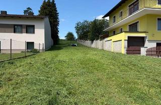 Grundstück zu kaufen in 2122 Ulrichskirchen, Wunderschönes Grundstück in idyllischer Lage mit leichter Hanglage