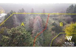 Grundstück zu kaufen in 2230 Gänserndorf, Großzügiges Grundstück in Gänserndorf Süd | ca. 1706 m2 | Bebaubare Fläche ca. 218m2 | Bauklasse I,II