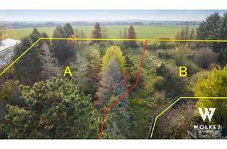 Grundstück zu kaufen in 2230 Gänserndorf, 2 Grundstücke à ca. 1706 m2 | Bebaubar jeweils ca. 218 m2 | Bauklasse I,II | PREIS VERHANDELBAR