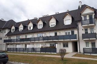 Wohnung mieten in Anton Wiesenburg-Gasse 23+25, 3133 Traismauer, TRAISMAUER IV/2, geförderte Mietwohnung mit Kaufoption, Stiege B/ TOP 7, 1000/00006520/00001107