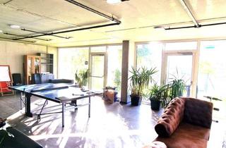 Gewerbeimmobilie kaufen in 8010 Graz, Geschäftslokal / Büro / Schauraum direkt an der Murpromenade - VERMIETET