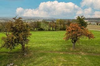 Grundstück zu kaufen in 4076 Sankt Marienkirchen an der Polsenz, Traumplatzerl - 2449m² großes, einzigartiges Grundstück in nahezu Alleinlage