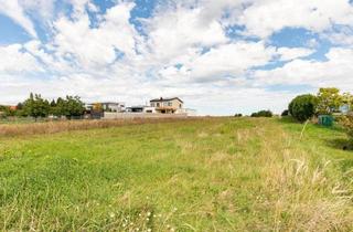 Grundstück zu kaufen in 7100 Neusiedl am See, Bauland für Investoren und private Bauherren !