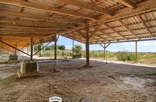 Lager kaufen in 2301 Andlersdorf, "Großzügiges Grundstück mit Pferdehof und sanierungsbedürftigem Haus - nur Minuten von Wien entfernt"