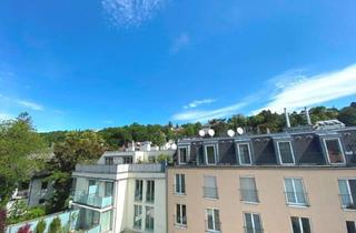 Wohnung kaufen in Diverse Parks Und Naherholungsgebiete, 1190 Wien, 2 Zimmer DG-Wohnung - Erstbezug nach qualitativ hochwertiger Komplettsanierung - plus 2 Terrassen mit gesamt ca. 13,58 m²