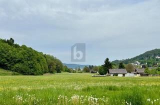 Grundstück zu kaufen in 9081 Reifnitz, 900M BIS ZUM WÖRTHERSEE!! WOHNEN, WO ANDERE URLAUB MACHEN