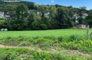 Grundstück zu kaufen in 2871 Zöbern, "Herrlicher Baugrund"