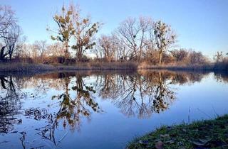 Anlageobjekt in Donau, 1220 Wien, Mühlwasser I PREISREDUZIERTES baubewilligtes PROJEKT I SOFORT umsetzbar!