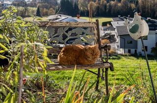 Haus kaufen in 6320 Angerberg, Panoramalage - Ihr Haus über dem Tal