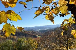 Wohnung mieten in 8442 Greith, Traumwohnung Nähe Kitzeck - Miete