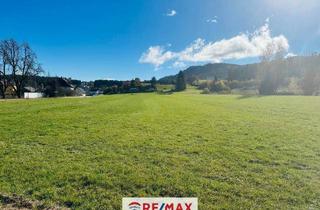 Grundstück zu kaufen in Hauptstraße, 9560 Feldkirchen in Kärnten, Sonnige Baugrundstücke in Toplage von Feldkirchen ohne Bebauungsverpflichtung