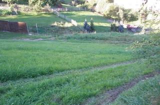 Immobilie mieten in Promenade, 4120 Neufelden, Freizeitgrundstücke zur PACHT in 4120 Neufelden OÖ