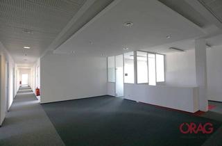 Büro zu mieten in 2320 Schwechat, Moderner Business Park - Büros zu mieten - 2320 Schwechat