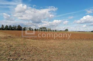 Agrarfläche kaufen in 7111 Parndorf, Ackerfläche in Parndorf zu verkaufen