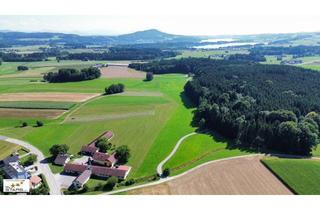 Haus kaufen in 5163 Palting, neuer Kaufpreis: Gepflegtes Zuhause nahe dem Mattsee mit großem Garten, Dachterrasse und Doppel-Carport!
