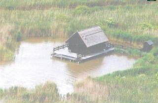 Haus kaufen in 7091 Breitenbrunn am Neusiedler See, EIN TRAUM - ALLEINRUHELAGE - UNEINSEHBAR - IM NEUSIEDLER SEE - AUF PACHTGRUND MIT YACHTHAFEN BOOTSANLEGEPLATZ