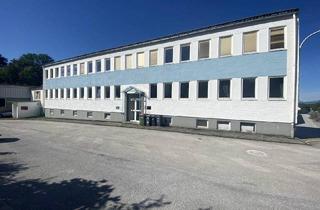 Büro zu mieten in 5061 Elsbethen, Vielseitige Lagerfläche in zentraler Lage Elsbethen