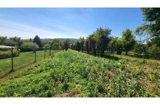 Grundstück zu kaufen in 2413 Edelstal, Großzügiges Baugrundstück mit 1917 m2 in Edelstal