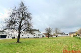 Grundstück zu kaufen in 4693 Desselbrunn, WUNDERBAR GROßES BAUGRUNDSTÜCK - KEIN BAUZWANG!!