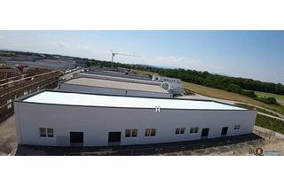 Gewerbeimmobilie kaufen in 2601 Sollenau, Halle-Für Anleger oder Eigennutzung