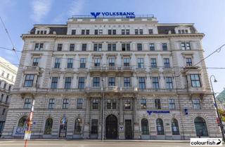 Büro zu mieten in Schottengasse 10, 1010 Wien, Büroetage mit Balkon im prestigeträchtigen Jahrhundertwendehaus am Schottentor