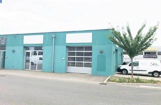 Büro zu mieten in Donaustraße, 1190 Wien, *PROVISIONSFREI* Ebenerdige, beheizte Gewerbefläche mit Sektionaltor im Gewerbepark Donau – direkt an der Stadtgrenze Wien