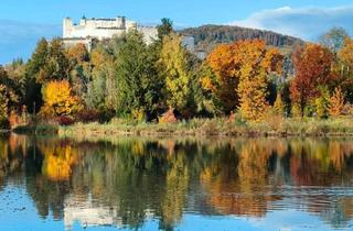 Wohnung kaufen in 5020 Salzburg, Charmante 2-Zimmer-Gartenwohnung in traumhafter Lage am Leopoldskronweiher