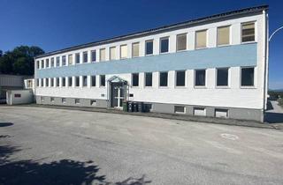 Lager mieten in 5061 Elsbethen, Vielseitige Lagerfläche in zentraler Lage Elsbethen