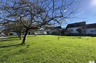 Grundstück zu kaufen in 6890 Lustenau, Größe variabel - Traumgrundstück für Ihr neues Zuhause