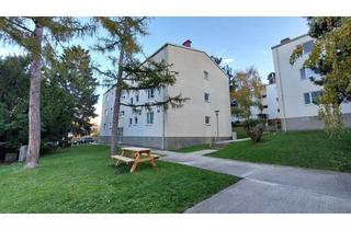 Wohnung kaufen in 2340 Mödling, Absolute Ruhelage in der Prießnitzgasse, Kamin, Loggia, großer Keller, sehr gepflegter Zustand