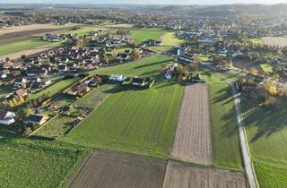 Grundstück zu kaufen in Zeltingerstraße, 8490 Bad Radkersburg, Wunderschönes Baugrundstück in Bester Lage *** Bad Radkersburg ***