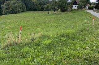 Grundstück zu kaufen in 7423 Pinkafeld, Baugrundstück in toller Lage
