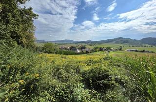 Grundstück zu kaufen in 8504 Preding, Wohnen am Waldrand mit Fernblick!