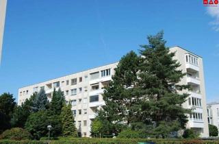 Wohnung mieten in Schiffmannstraße 18, 4020 Linz, Exklusive 3-Zimmer Wohnung im letzten Stock mit traumhafter Aussicht inklusive Grünlage, Ruhelage und perfekter Infrastruktur wurde im August 2024 GENERALSANIERT!!