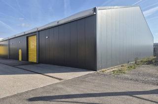 Gewerbeimmobilie mieten in Mariazeller Straße 180, 3100 Sankt Pölten, Neuwertige Halle mit ca. 875 m² in der ehem. Kopal-Kaserne zu vermieten