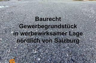 in 5102 Anthering, Baurecht: Gewerbegrundstück in werbewirksamer Lage nördlich von Salzburg