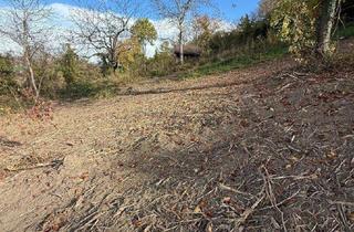 Gewerbeimmobilie kaufen in 3433 Königstetten, Bäume und Wiese mit Zufahrt und Parkmöglichkeit