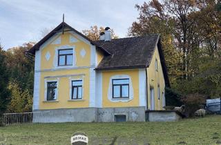 Haus kaufen in 3452 Hütteldorf, "Jahrhundertwende Stilhaus mit Wald"