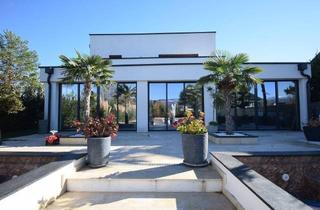 Einfamilienhaus kaufen in 2731 Neusiedl am Steinfeld, Einfamilienhaus mit Gartenparadies in Neusiedl am Steinfeld!