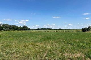 Grundstück zu kaufen in 2442 Unterwaltersdorf, Gemeinde Ebreichsdorf - wunderschöne Ortsrandlage !